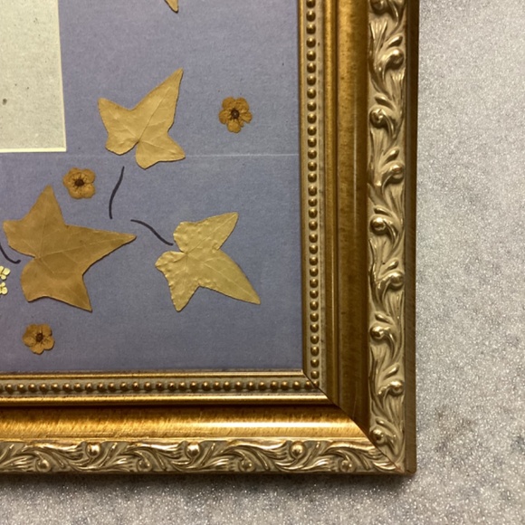 Vintage Dried Pressed Pansies Floral Gold Frame Art - Picture 4 of 11